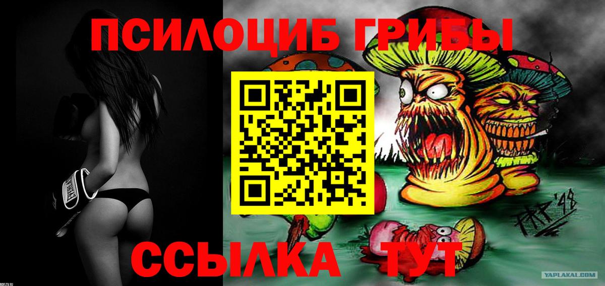 Галлюциногенные грибы мухоморы Алатырь